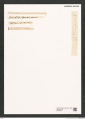 Diatomeae indet. Zeichnungen Sammlung Grunow (NHMW-BOT-W0374867)